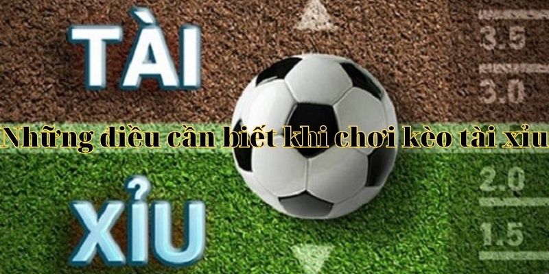 Những điều cần biết khi chơi kèo tài xỉu