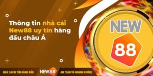Nhà Cái New88 Và Các Dịch Vụ Chất Lượng Đẳng Cấp Quốc Tế