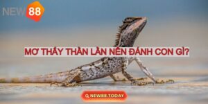 Nằm mơ thấy thằn lằn nên đánh con gì phát lộc?