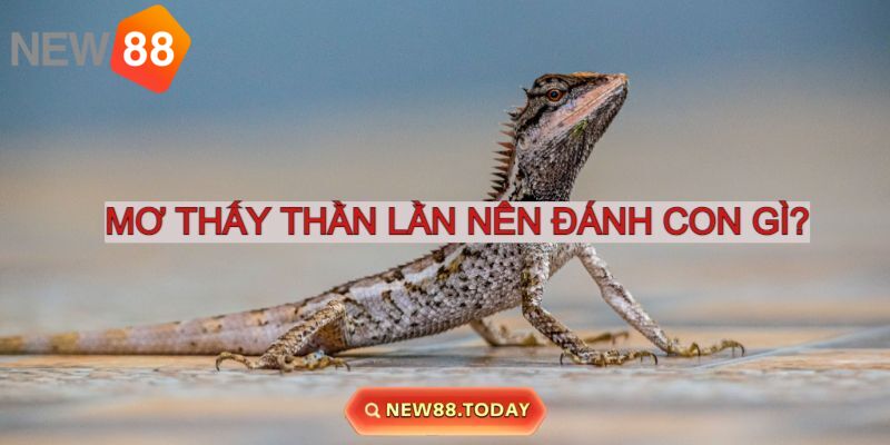 Nằm mơ thấy thằn lằn nên đánh con gì phát lộc?