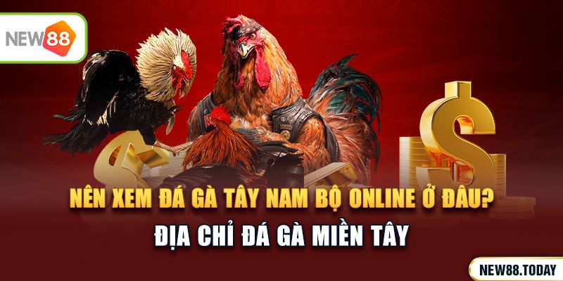 Nên xem đá gà Tây Nam Bộ online ở đâu?